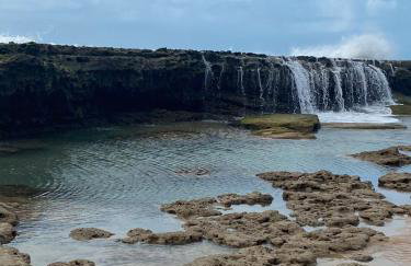 Casa Praia Pontal do Coruripe - Foto 46
