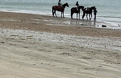 Ostréane-en-Ré - Foto 24