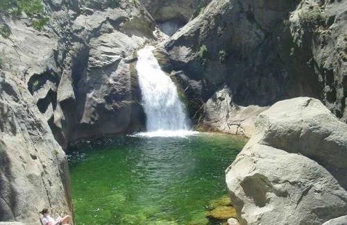 Sequoia Splendor, inside Kings Canyon NP by Visitors Center - Foto 71