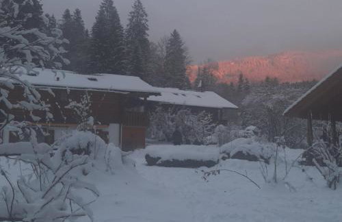 Hüttenzauber Ferienwohnung mitten im Nationalpark - Foto 21