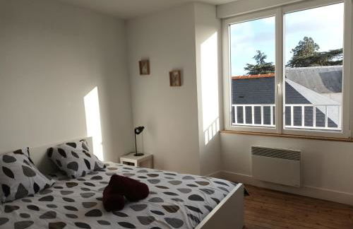 citybreak des balcons d'Ancenis - Foto 11