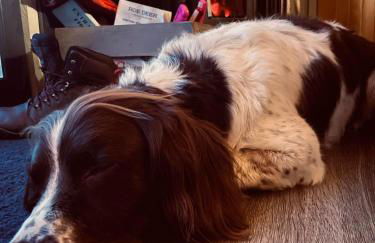 Luxury Shepherd Hut in the Peak District - Foto 50