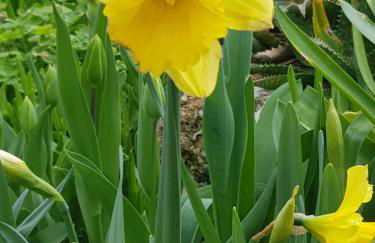 Villa Fior di Lavanda - Foto 42