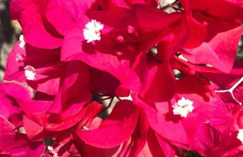 Garden Villa Near Chania's Coastline - Foto 51