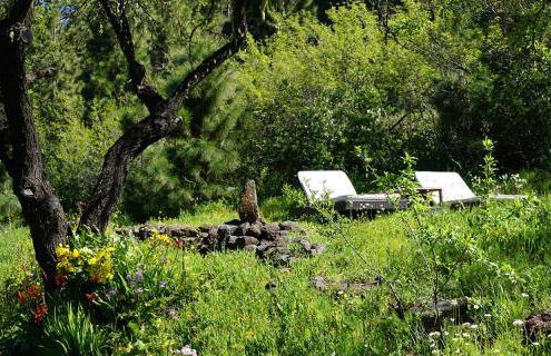 Tiny House Vogelnest - Foto 31