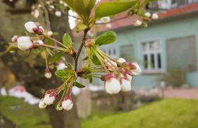 Ferienhaus Salvia - Foto 51