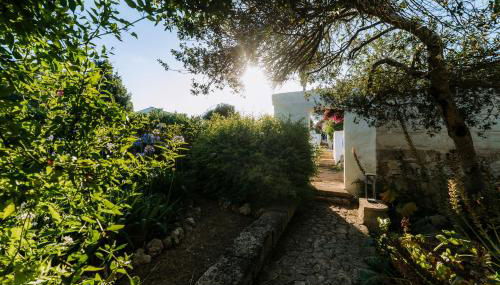 Agroturismo Rafal Rubí - Foto 5, Garden