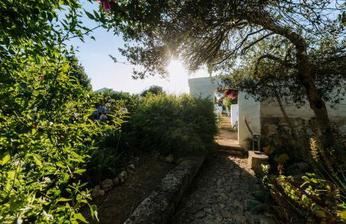 Agroturismo Rafal Rubí - Foto 5