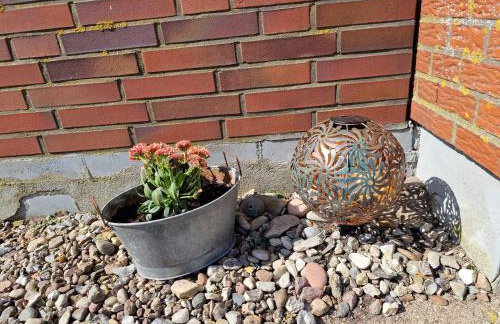 Haus-Fehmarn-am-Dorfteich-|-Wohnung-1-Sued - Foto 22