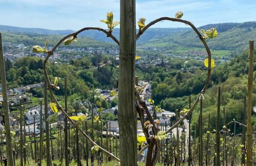 Ferienwohnungen Dr Wagner - Photo 6