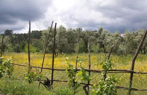 Casa Branca - Foto 20