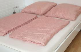 Private Unterkunft, ruhige Lage in Nordhorn-Klausheide - Foto 1