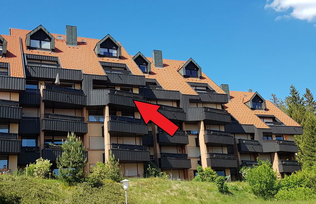 Schwarzwaldblick - Foto 7