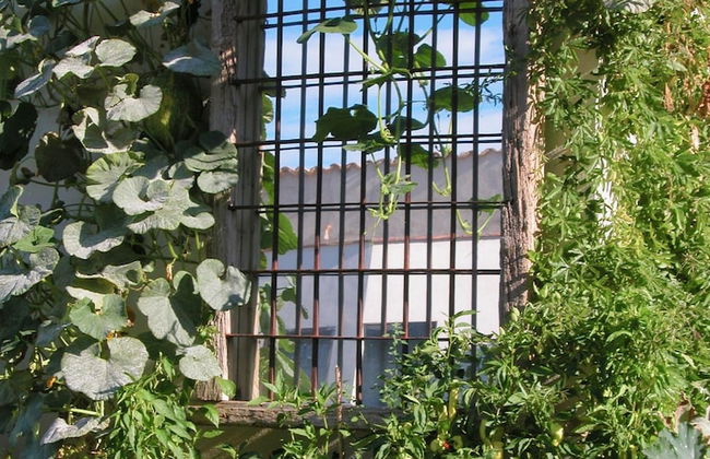 Casa Rural Los Chicos de Lastanosa - Foto 66