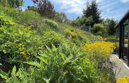 Flügels ReBi-Baude - Foto 14