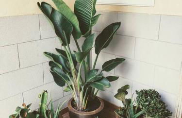 FANTASTICA CASA FRENTE MAR - Foto 28