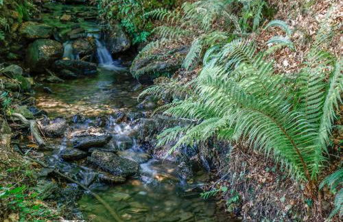 Running Waters - Photo 15