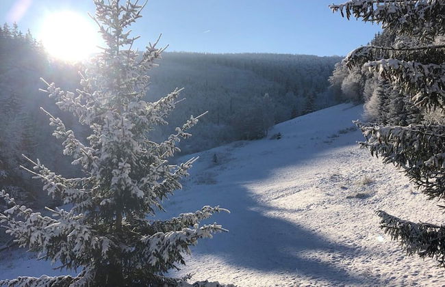 Exclusive Group House in Winterberg in the Forest - Photo 62