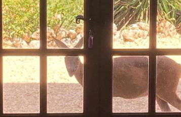 La Bastide Portoly Gîte "Les Deux Cèdres" - Foto 34