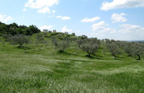 Agriturismo Le Roghete - Foto 27