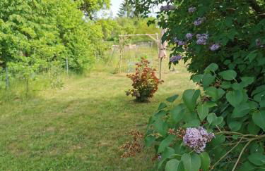 Friedenfelder Nest - Photo 13