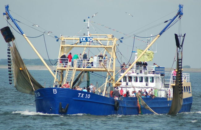 Apartment in Texel Near De Koog Center - Foto 20