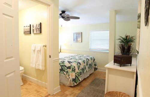 2 Bedroom Apt Overlooking Dunedin Town Square NO KIDS, NO PETS - Photo 21