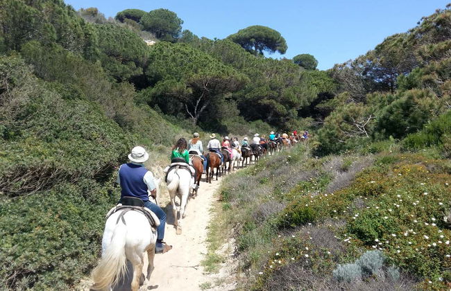 Doñana National Park Horse Riding Tour - Photo 4