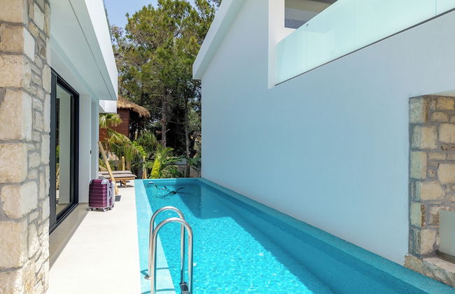 D Palm Premium Living - Foto 66