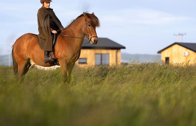 Sleeping with the Horses - Foto 30