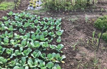 Quinta Padre Lobo - Foto 20