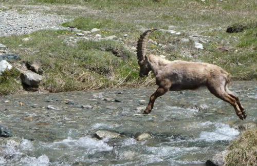 Aosta MaisonGnémaz - Foto 56
