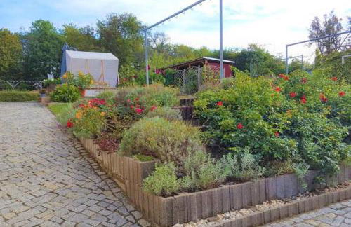 Fewo Radeberg - Foto 18