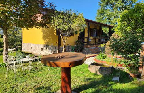 Rincón de Madagascar VV-2192-AS - Foto 6