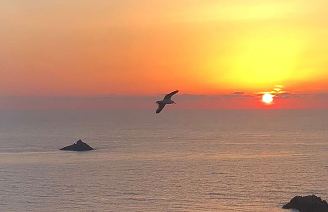 Le Saline amazing apartment with seaview - Foto 12