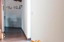 Pura Vida Matos House - Photo 9