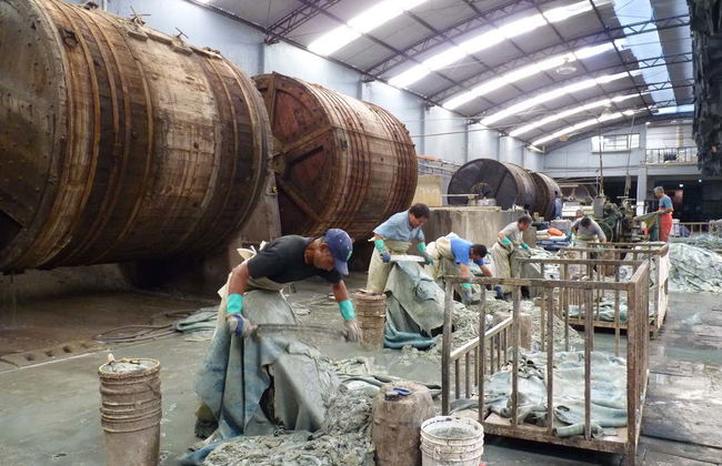 León Handicrafts Tour - Foto 5