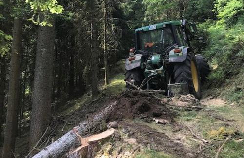 Waldbauernhof - Photo 39