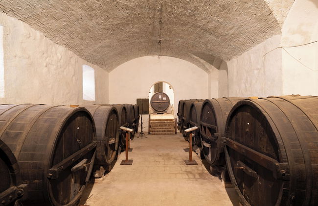 agriturismo Castel d'Alfiolo-Barcomonte - Foto 54