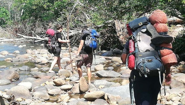 Randonnée dans la forêt amazonienne