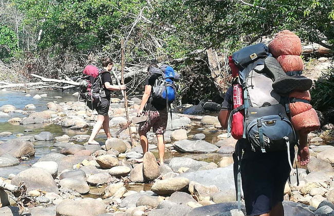 Trilha e noite na floresta amazônica - Foto 2