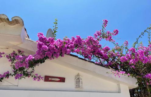 Charming Villa with Heated Pool near Sandy Beach, Hiking, Golf and Wineries - Foto 41