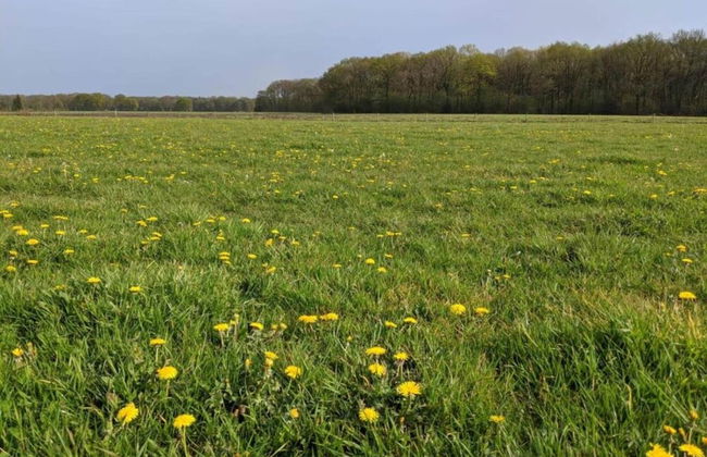 Holiday Home in Netherlands With Pond View - Foto 40