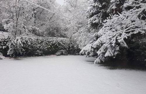 Acorn Lodge Luxury Retreat In a Stunning Oasis With Hot Tub - Pass the Keys - Foto 75