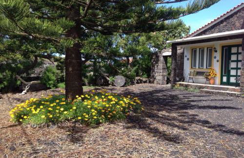 Casa da Costa - Photo 3