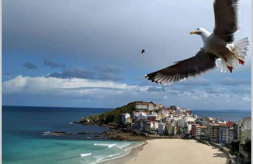 Apartamento Sisargas - Foto 60