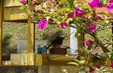 Recanto das Pretinhas - Photo 17