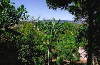 Incrível Casa Colonial-Déco - Centro Histórico - Foto 53