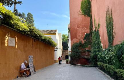 Apto T Patio Sevillano - Garaje privado con carga eléctrica - Foto 38