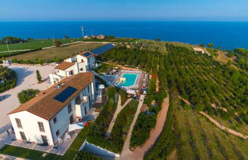 CONTEA DEI CILIEGI (official) - Foto 7